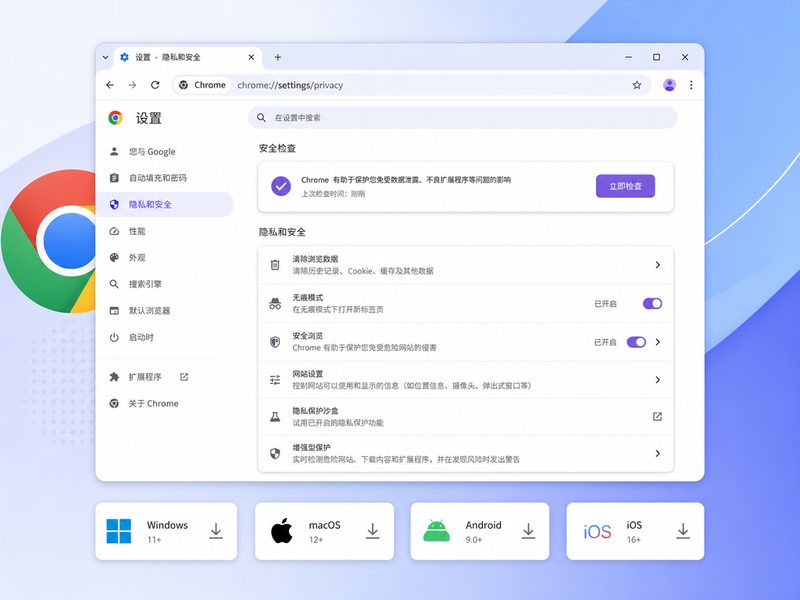 谷歌浏览器安全设置面板